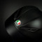 AGV PISTA GP RR MONO MATT CARBON