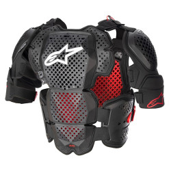 ALPINESTARS A-10 V2